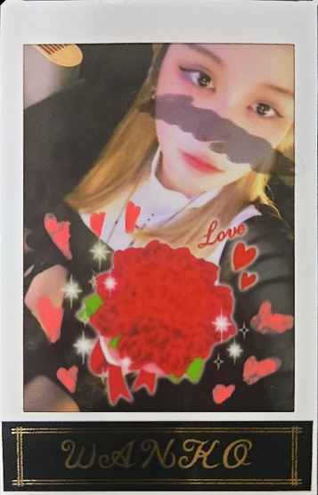 冷艶極上曲線美わんこ